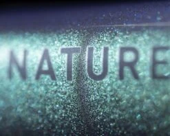 Cube Nature EXC - Cross Bike 2023 | Verde'n'black 13 Cube Nature EXC - Cross Bike 2023 | Verde'n'black -Günstiges Kurbel Sprint Geschäft cube nature exc cross bike 2023 verdenblack xl 004 95181 2200x1760 1280x1280