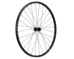 Newmen Laufrad Evolution SL X.R.25 622 12x100 SP CL 28h Fade