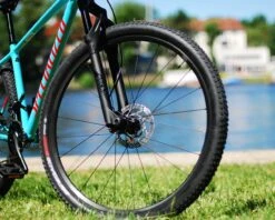 Specialized S-Works Renegade 2 Bliss MTB-Reifen 29 X 2.1 | Black -Günstiges Kurbel Sprint Geschäft specialized s works renegade 2 bliss mtb reifen 29 x 21 black 003 53792 2200x1760 1280x1280